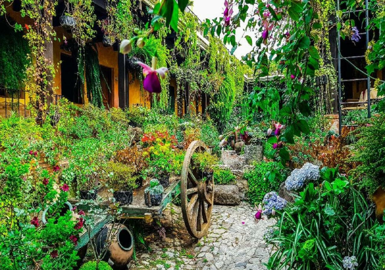 Hotel Eterna Primavera Antigua ภายนอก รูปภาพ